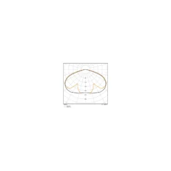 Ledvance LED Gatubelysning Area Urban Lykta Grå 59W 4730lm 145D - 830-840 CCT | IP66 - Symmetrisk