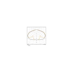 Ledvance LED Gatubelysning Area Urban Lykta Svart 59W 4730lm 145D - 830-840 CCT | IP66 - Symmetrisk