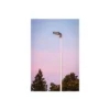 Ledvance LED Gatubelysning Urban Lykta Grå 30W 4050lm 160x58D - IP66 - Asymmetrisk