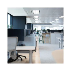 Noxion LED Panel Delta Value V5 Backlit 28W 3920lm - 830/840 CCT | 60x60cm - UGR <19 - Dali Dimbar