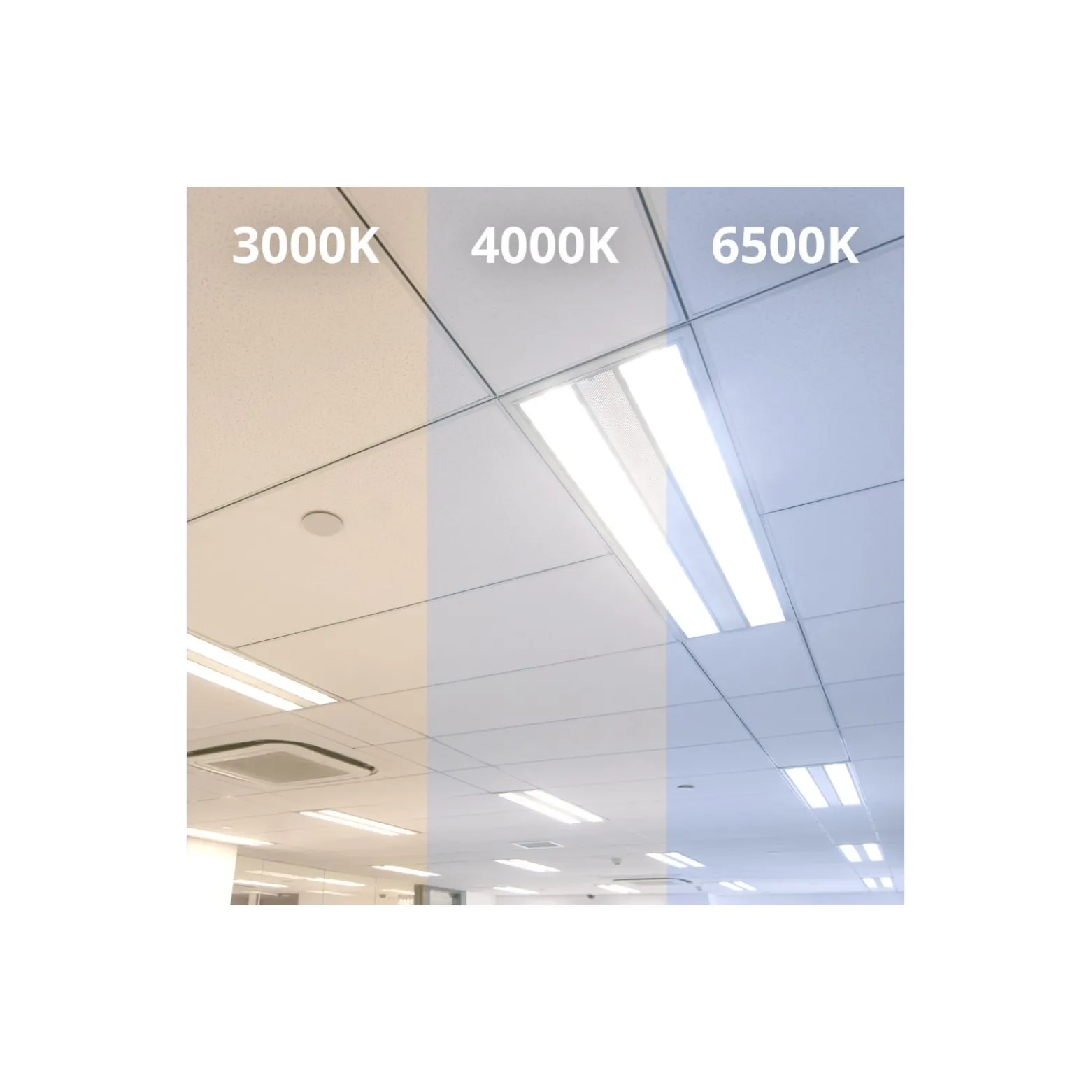 Noxion LED Rör T8 Avant Extreme (EM/Mains) High Output 8.2W 1150lm - 865 Dagsljus | 60cm - Ersättare 18W