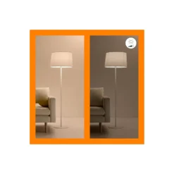 WiZ Smart LED E14 Globe Filament Matt 5W 470lm | Bästa Färgåtergivning - Dimbar - Ersättare 40W