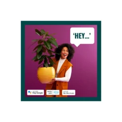WiZ Smart LED E27 Päron Filament Matt 19W 2452lm | Bästa Färgåtergivning - Dimbar - Ersättare 150W
